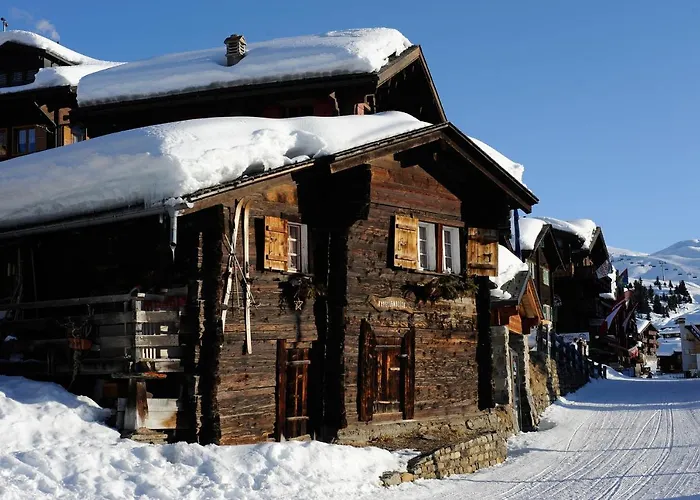 Artus 6 * Bettmeralp